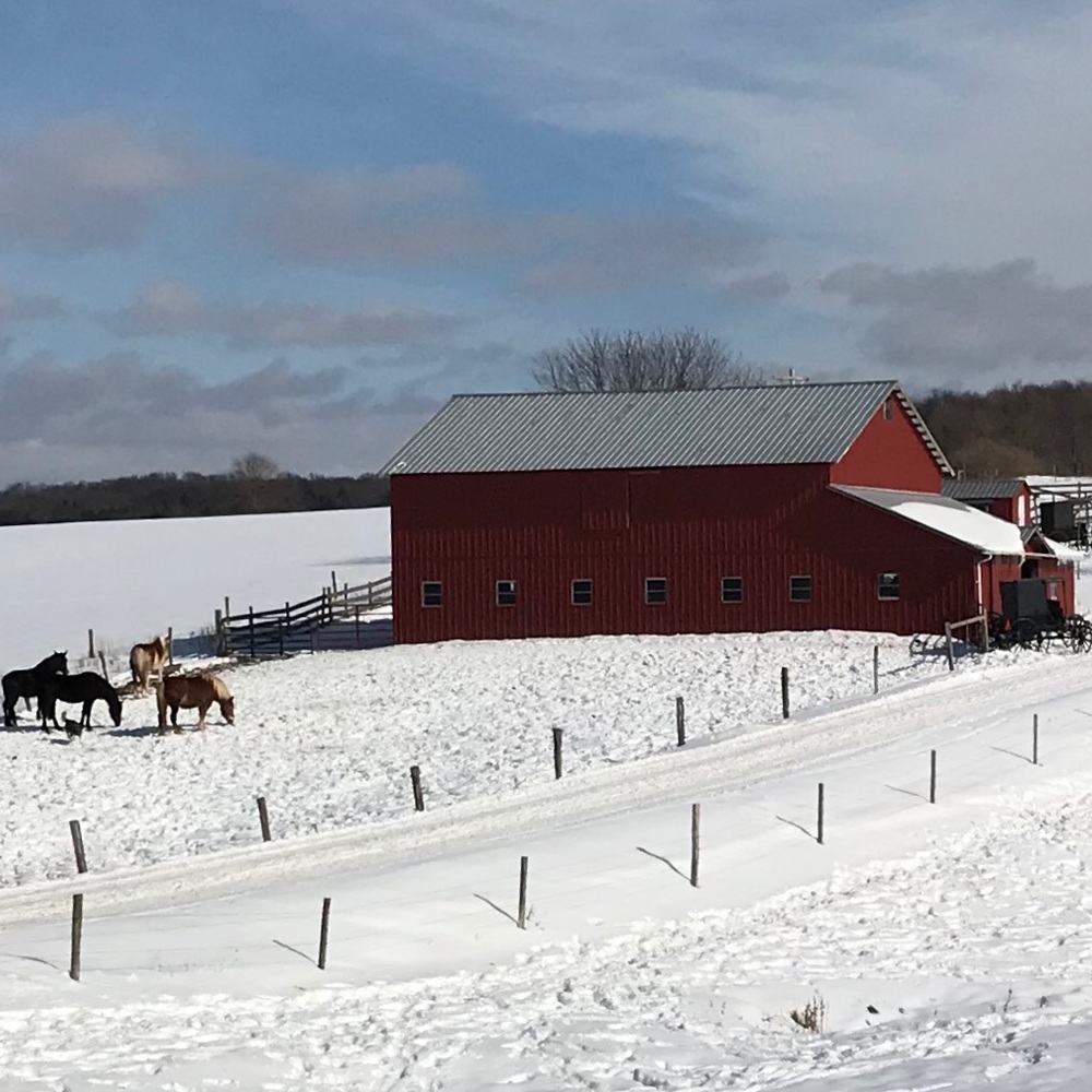 Meet your Posher, Kmb